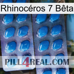 Rhinocéros 7 Bêta viagra2